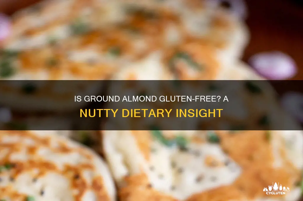 is ground almond gluten free
