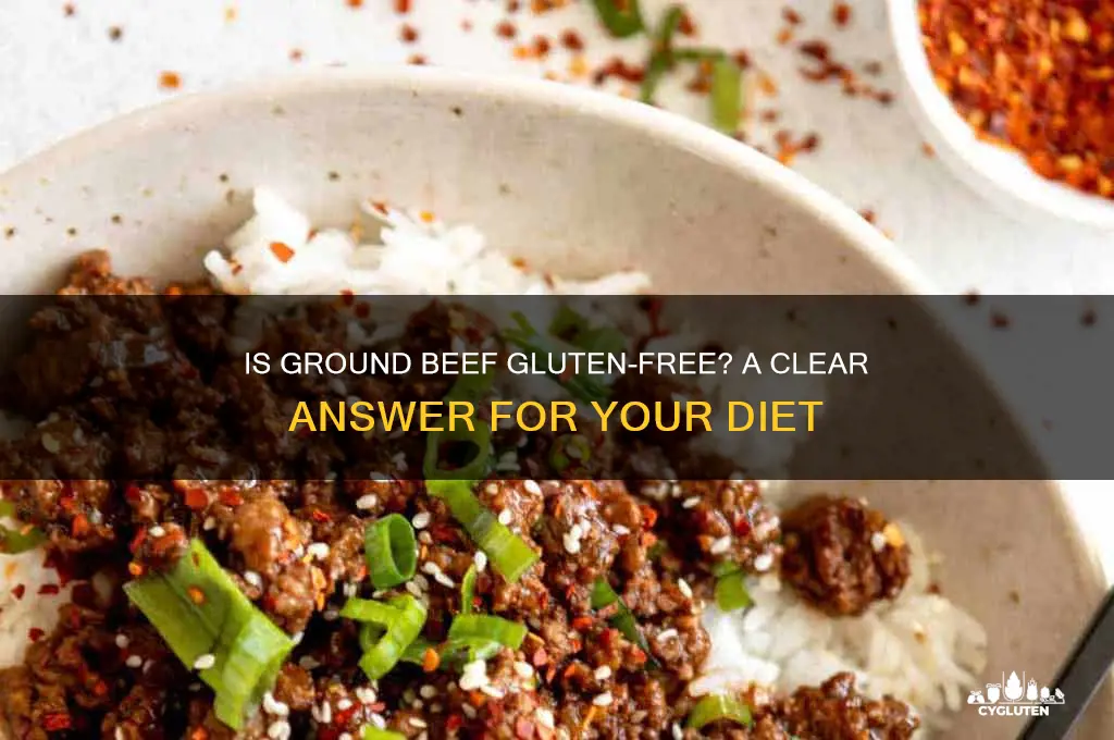 is ground beef gluten free