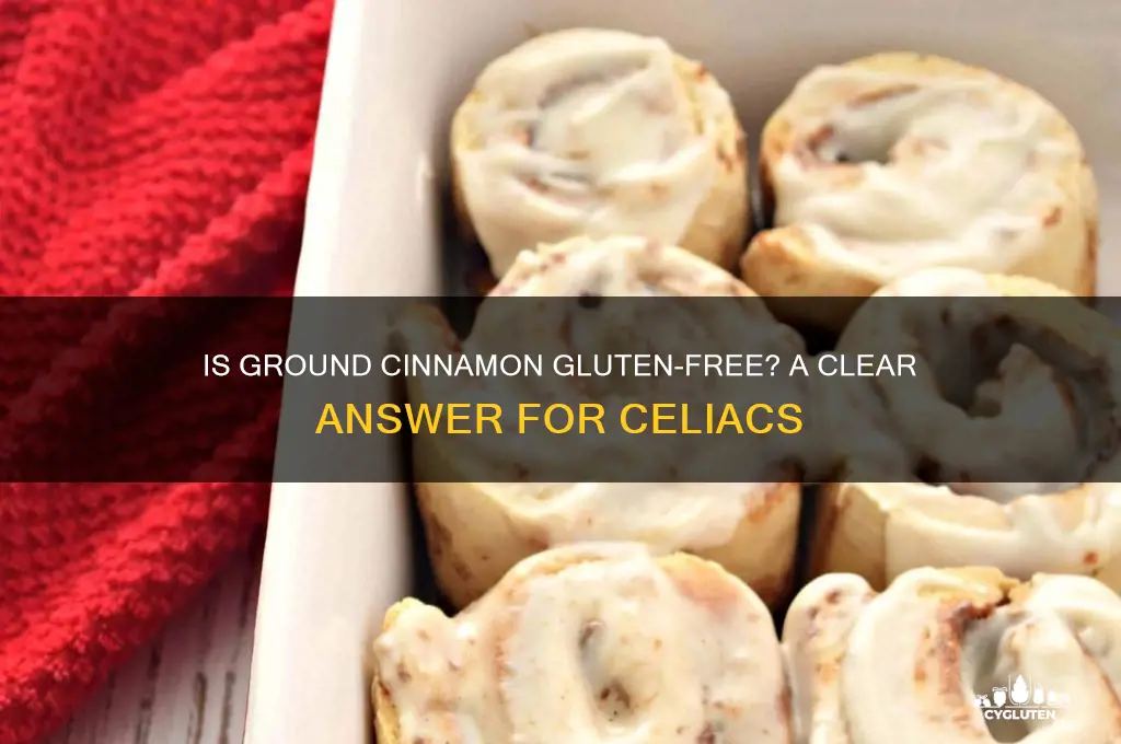is ground cinnamon gluten free