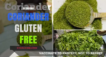 Is Ground Coriander Gluten-Free? A Spice Safety Guide