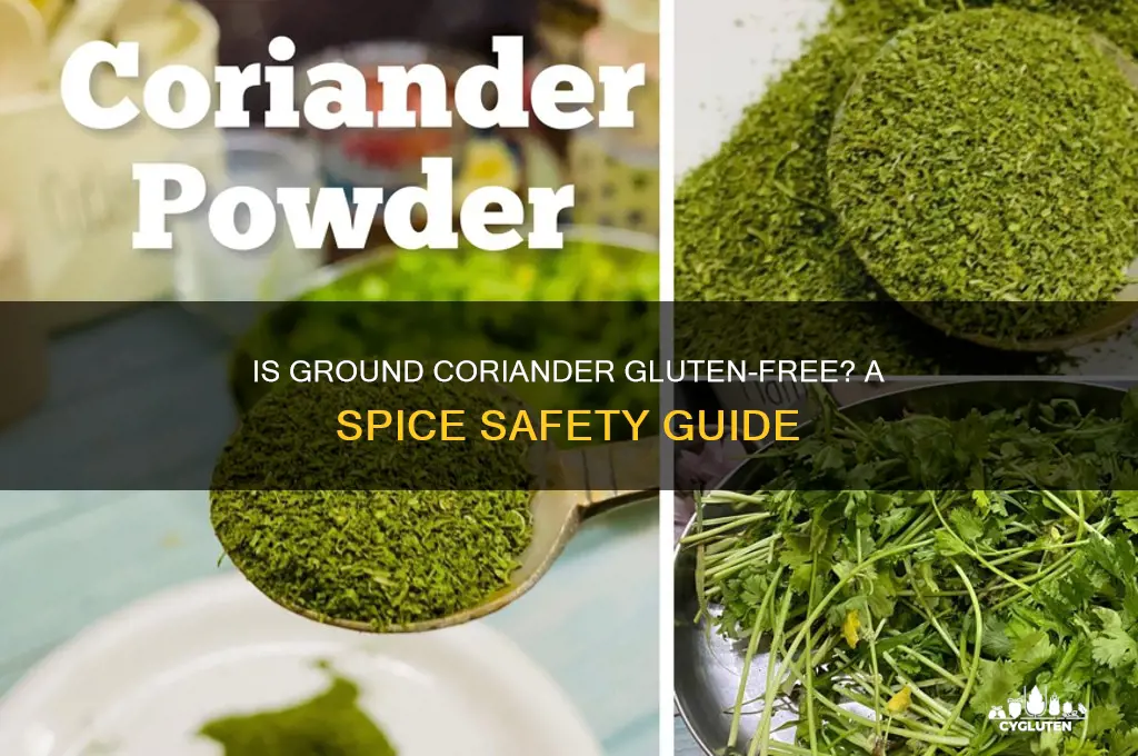 is ground coriander gluten free