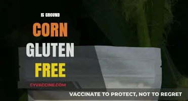 Is Ground Corn Gluten-Free? Unraveling the Truth for Celiac Diets