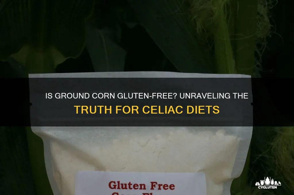 is ground corn gluten free