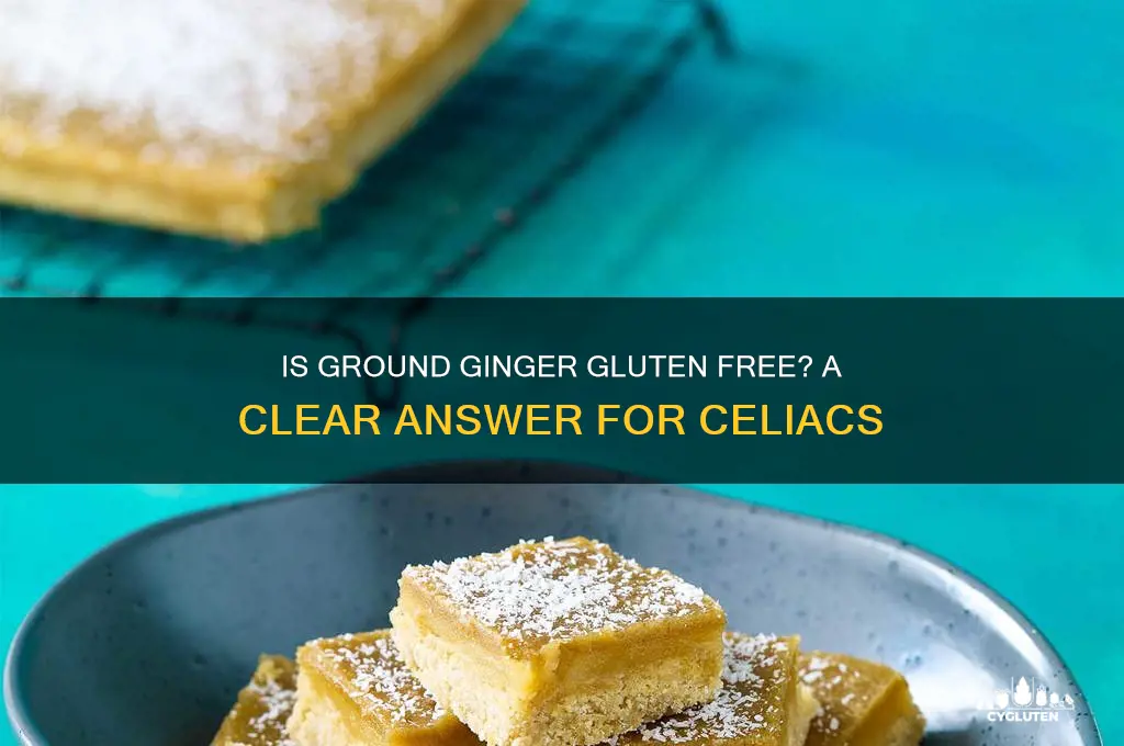 is ground ginger gluten free