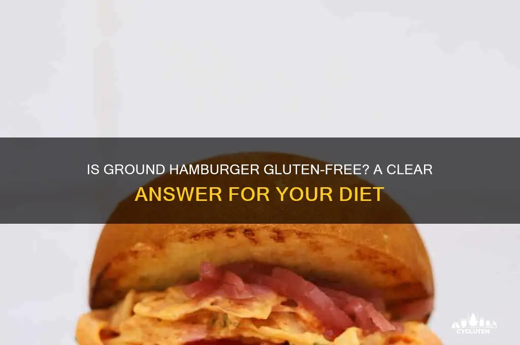 is ground hamburger gluten free