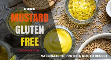 Is Ground Mustard Gluten-Free? A Comprehensive Guide for Celiac Diets