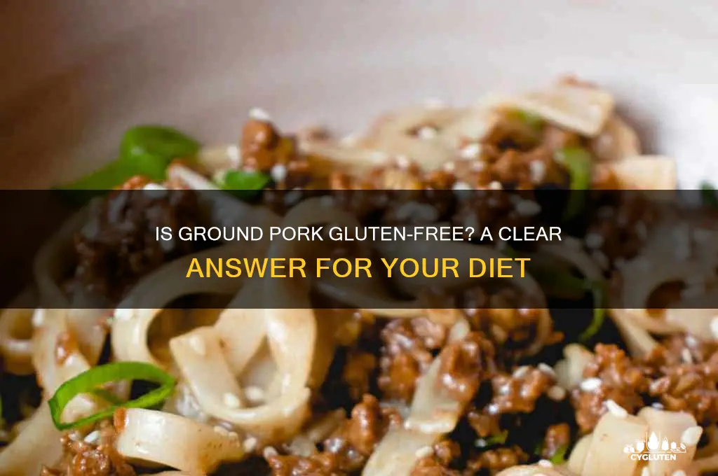 is ground pork gluten free