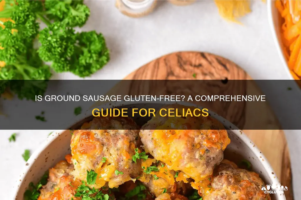 is ground sausage gluten free