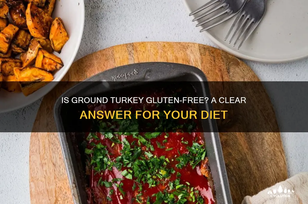 is ground turkey gluten free