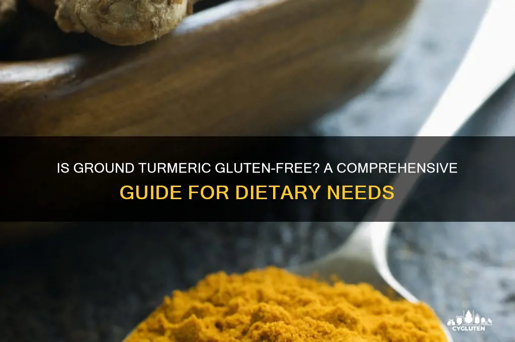 is ground turmeric gluten free