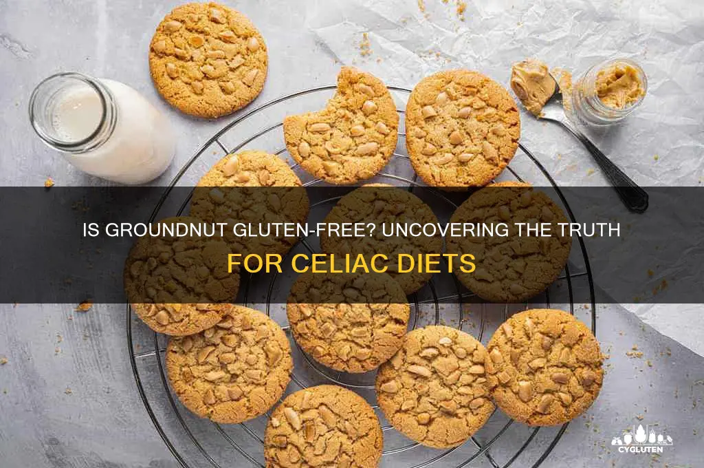 is groundnut gluten free