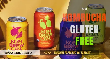 Is GT's Kombucha Gluten-Free? A Complete Guide for Consumers