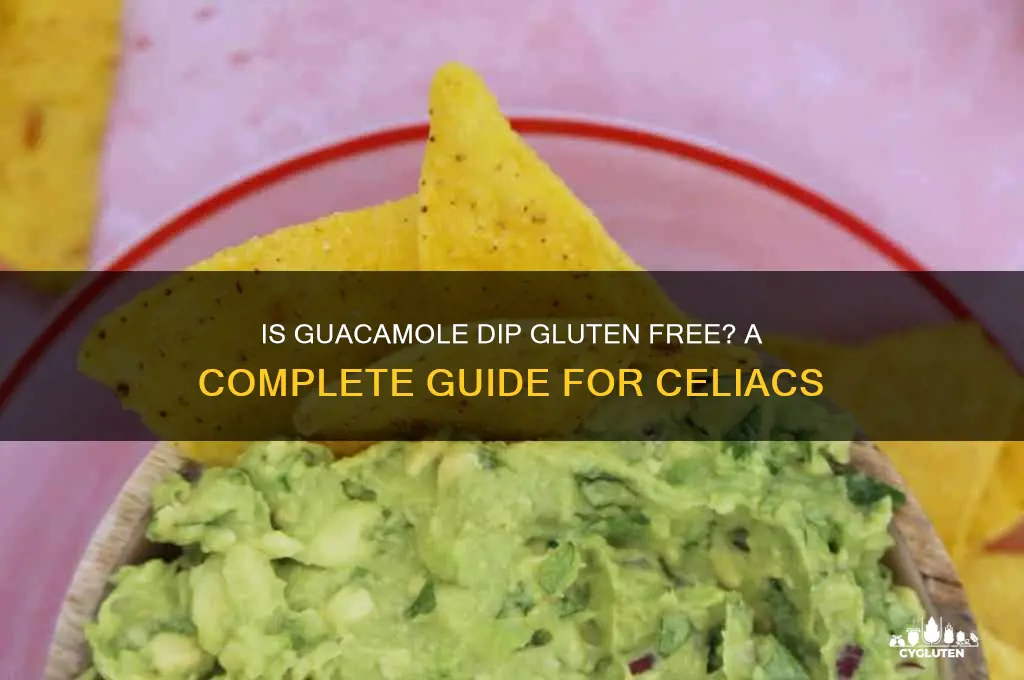 is guacamole dip gluten free