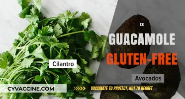 Is Guacamole Gluten-Free? A Complete Guide to Ingredients and Safety