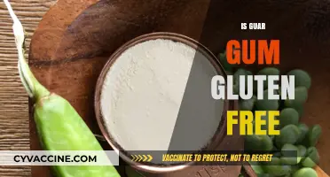 Is Guar Gum Gluten-Free? A Comprehensive Guide for Celiacs