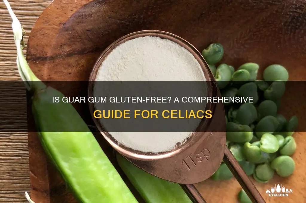 is guar gum gluten free