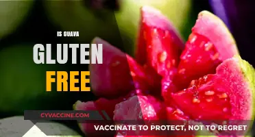 Is Guava Gluten-Free? Exploring the Tropical Fruit's Dietary Benefits