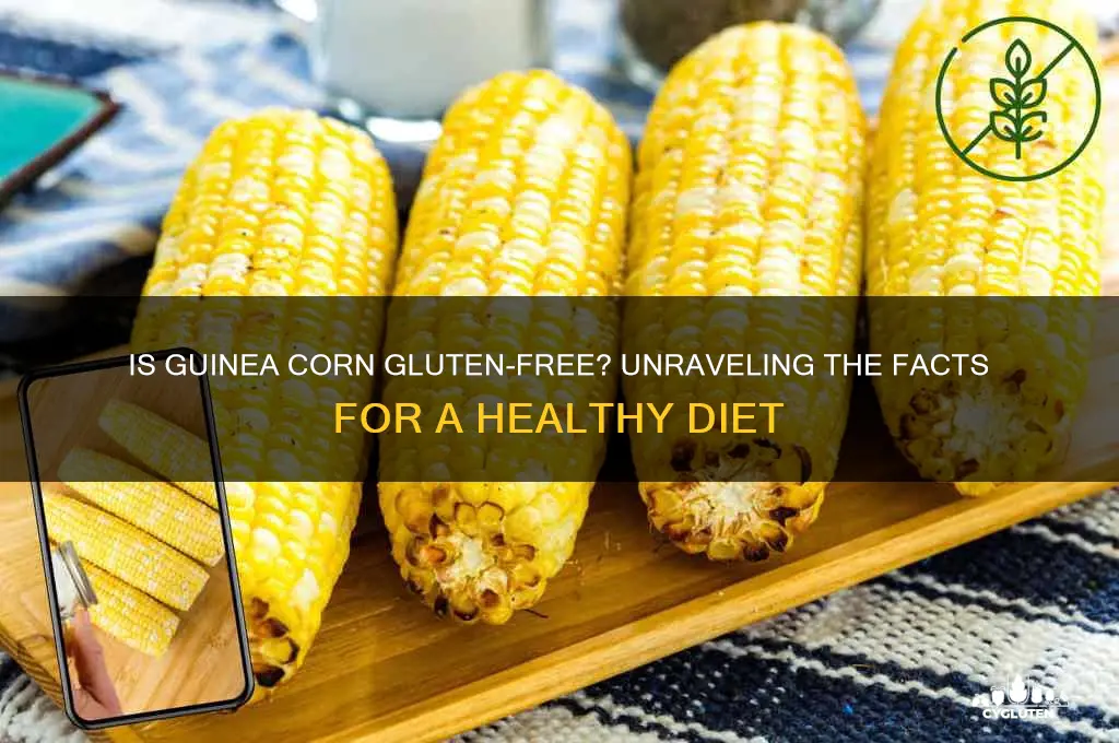 is guinea corn gluten free