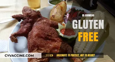 Is Guinea Pig Food Gluten-Free? A Comprehensive Guide for Owners