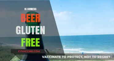 Is Guinness Beer Gluten-Free? Uncovering the Truth for Celiac Drinkers