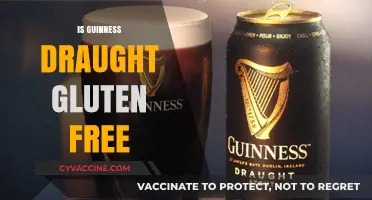 Is Guinness Draught Gluten-Free? Exploring the Beer's Ingredients and Safety