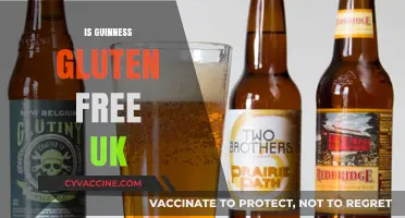 Is Guinness Gluten-Free in the UK? A Complete Guide