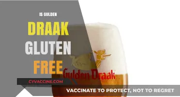 Is Gulden Draak Gluten-Free? A Beer Lover's Guide