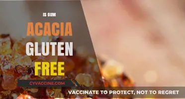 Is Gum Acacia Gluten-Free? Unraveling the Facts for Your Diet