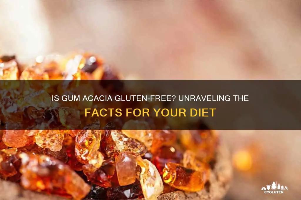 is gum acacia gluten free