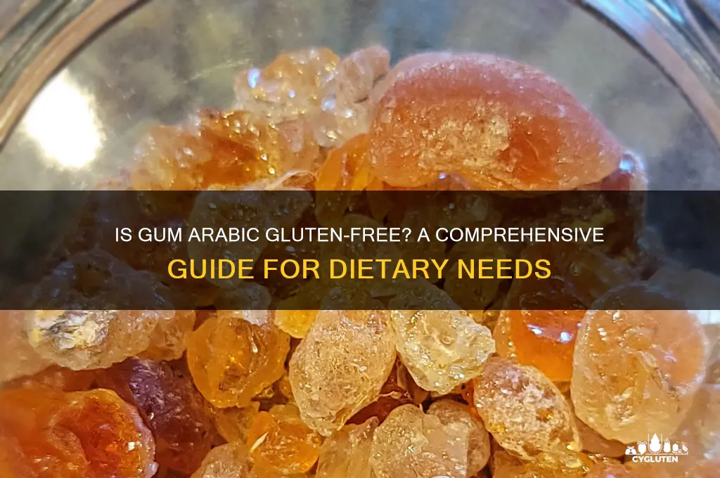 is gum arabic gluten free