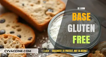 Is Gum Base Gluten-Free? Unraveling the Truth for Celiac Diets
