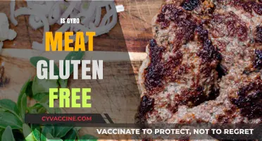 Is Gyro Meat Gluten-Free? A Complete Guide for Celiac Diners