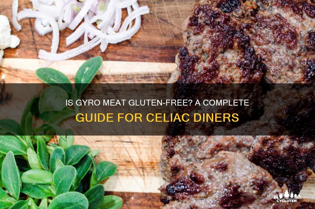 is gyro meat gluten free
