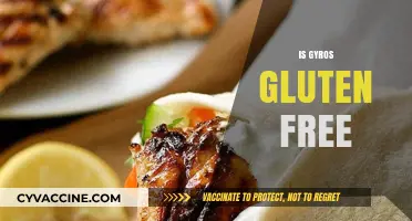 Are Gyros Gluten-Free? A Complete Guide to Safe Eating
