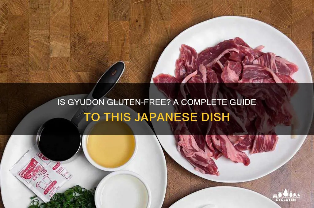 is gyudon gluten free