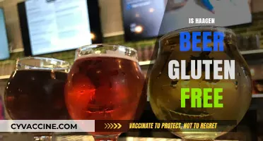 Is Haagen Beer Gluten-Free? A Complete Guide for Beer Lovers