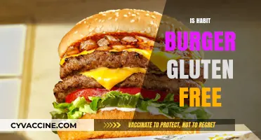 Is Habit Burger Gluten-Free? Exploring Menu Options for Celiac Diners
