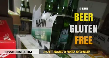 Is Hahn Beer Gluten-Free? A Comprehensive Guide for Beer Lovers