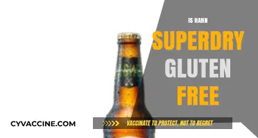 Is Hahn Superdry Gluten-Free? A Comprehensive Guide for Beer Lovers