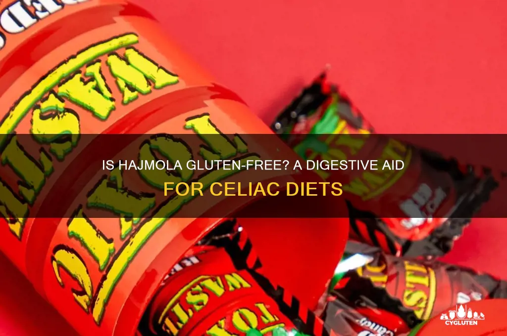 is hajmola gluten free