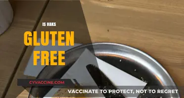 Is Haks Gluten Free? A Comprehensive Guide to Your Dietary Needs