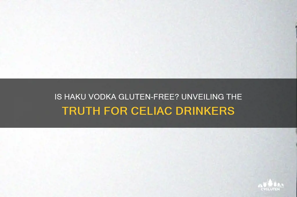 is haku vodka gluten free