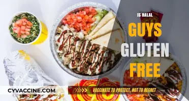 Is Halal Guys Gluten-Free? Exploring Menu Options for Celiac Diners