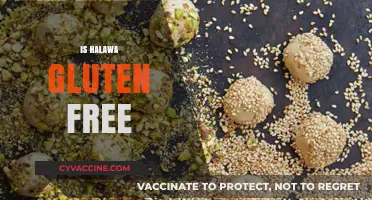 Is Halawa Gluten-Free? A Sweet Treat for Celiac Diets