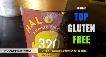Is Halo Top Gluten-Free? A Complete Guide to Your Favorite Flavors
