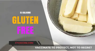 Is Halloumi Gluten-Free? A Complete Guide to Enjoying This Cheese