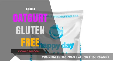Is Halsa Oatgurt Gluten-Free? A Complete Guide for Dietary Needs
