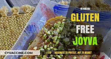 Is Halva Gluten-Free? Exploring Joyva's Ingredients and Dietary Suitability