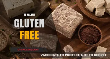 Is Halvah Gluten-Free? A Sweet Treat for Celiac Diets