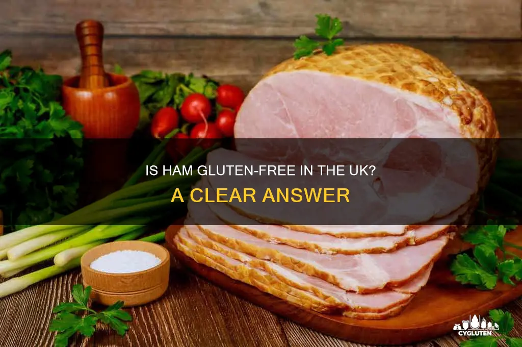 is ham gluten free uk